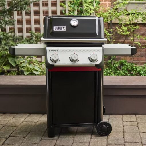 Weber Spirit E-310 - immagine 6